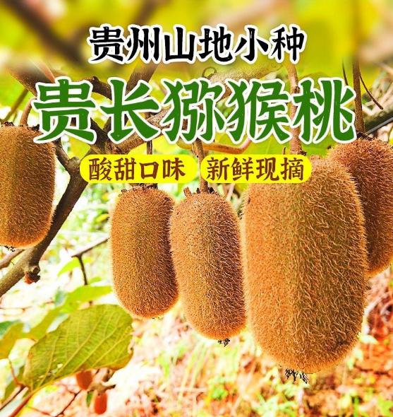 四喜：“包裝五力”要有力量之四——信任力(圖6)