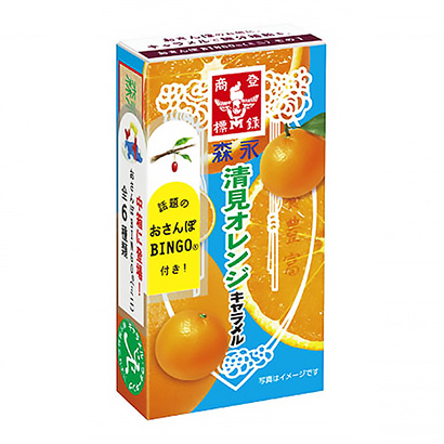 淮北農(nóng)特產(chǎn)品包裝設(shè)計參考(圖1)