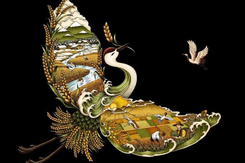 四喜如何通過包裝設(shè)計(jì)，讓金鶴黑珍珠大米彰顯高端定位