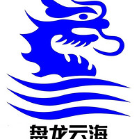 盤龍云海品牌故事-logo設(shè)計分析(圖1) 盤龍云海品牌故事-logo設(shè)計分析(圖1)