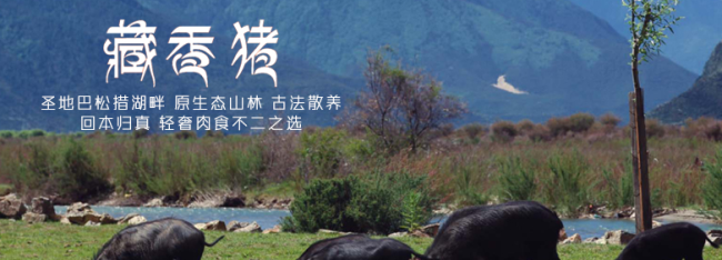 雛牧香品牌logo與產(chǎn)品包裝設計欣賞(圖3)