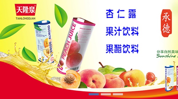 天隆泉 天隆泉品牌logo與產(chǎn)品包裝設(shè)計(jì)欣賞(圖4)