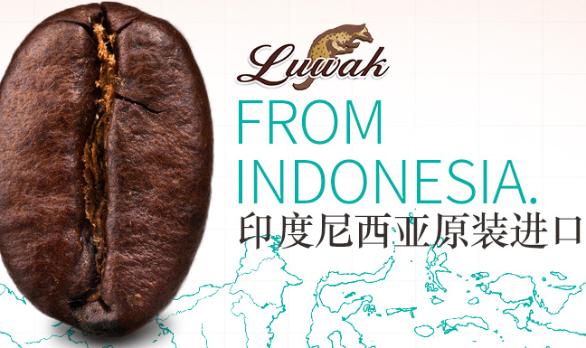 貓斯露哇咖啡 貓斯露哇品牌logo與食品包裝設(shè)計(jì)欣賞(圖3)