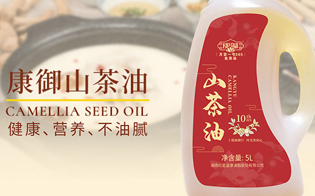 康御品牌logo與食品包裝設(shè)計(jì)欣賞(圖4)