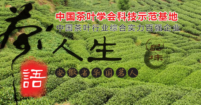 大別山 大別山品牌logo與食品包裝設(shè)計(jì)欣賞(圖2)