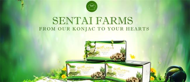 森態(tài)食品包裝設計欣賞(圖3)