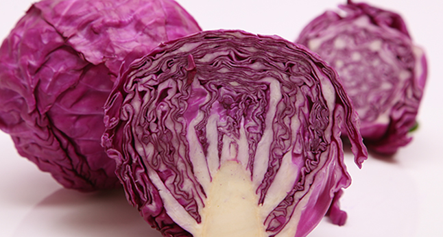 嘉仕有機(jī) 嘉仕有機(jī)食品包裝設(shè)計(jì)欣賞(圖3)