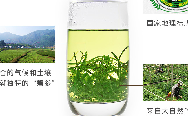 碧參 碧參食品包裝設(shè)計欣賞(圖3)