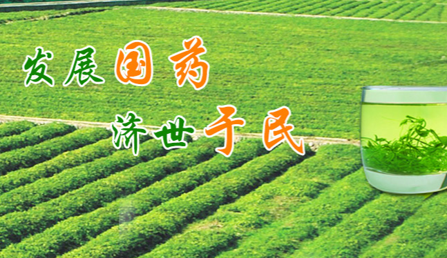 碧參 碧參食品包裝設(shè)計欣賞(圖4)