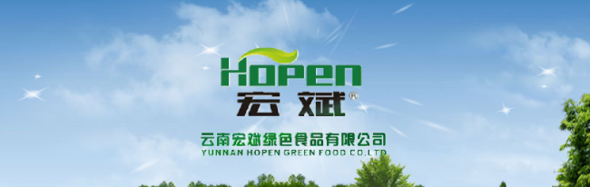 宏斌醬菜 Hopen宏斌食品包裝設(shè)計(jì)欣賞(圖2)