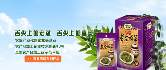 宏斌醬菜 Hopen宏斌食品包裝設(shè)計(jì)欣賞(圖4)