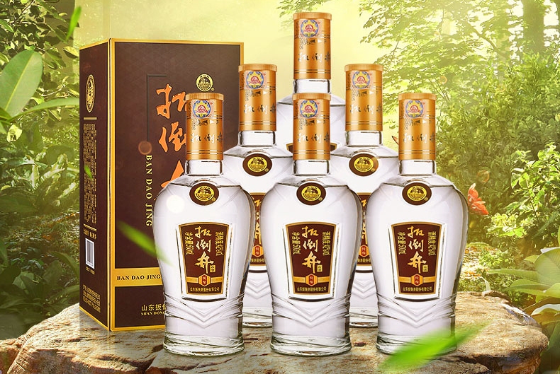 扳倒井食品包裝設(shè)計欣賞(圖4)