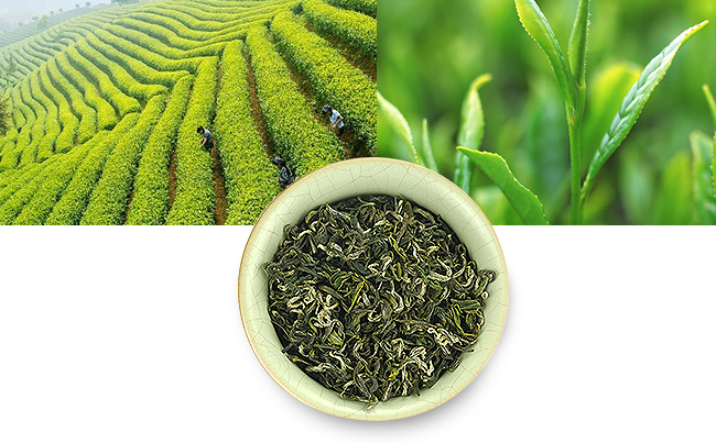 貢品堂 貢品堂食品包裝設(shè)計(jì)欣賞(圖4)