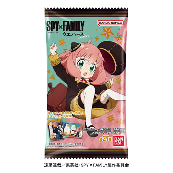 ×晶圓廠萬代包裝設計(圖1)